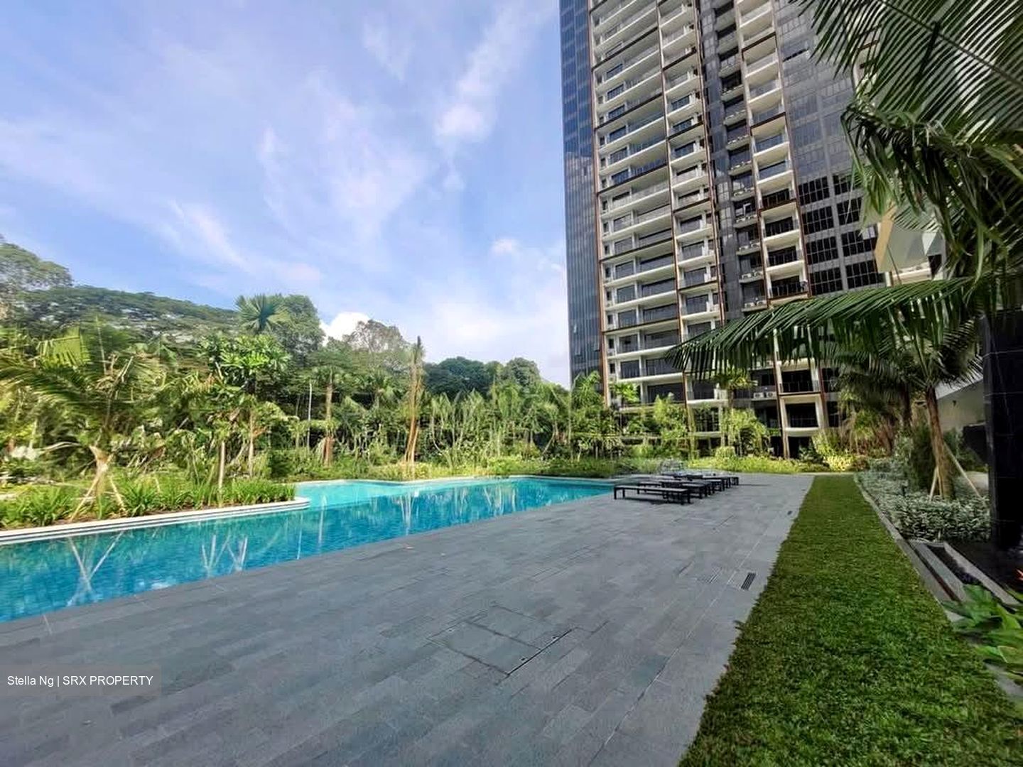 Midwood (D23), Condominium #546706101